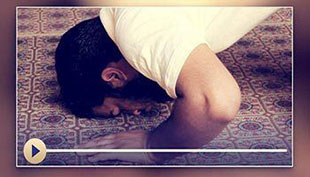 Prostrations for Forgetting, Gratitude and due to Recitation