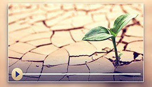 salatul-Istisqa (The salat (observed) when Seeking Rain)