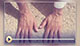 Taimama