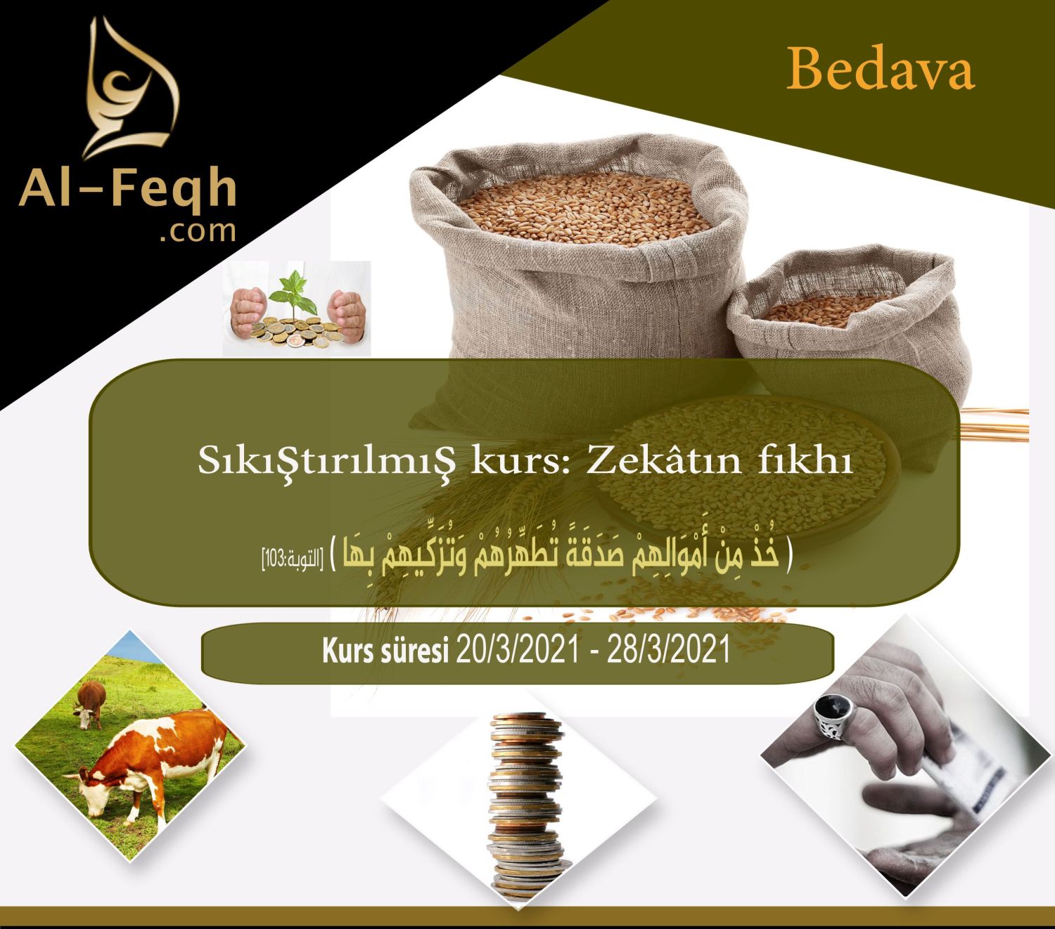 Sıkıştırılmış kurs: Zekâtın fıkhı